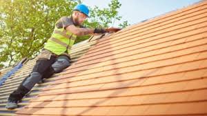 Best Roof Maintenance and Cleaning  in Woodburn, VA